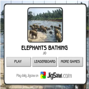 elephants-bathing-직소게임-jig5aw