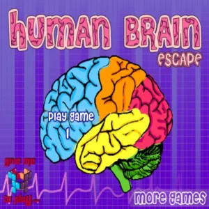 Human Brain Escape 1 플래시게임