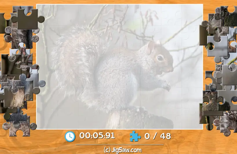 Squirrel (다람쥐) 플래시게임 플레이 화면
